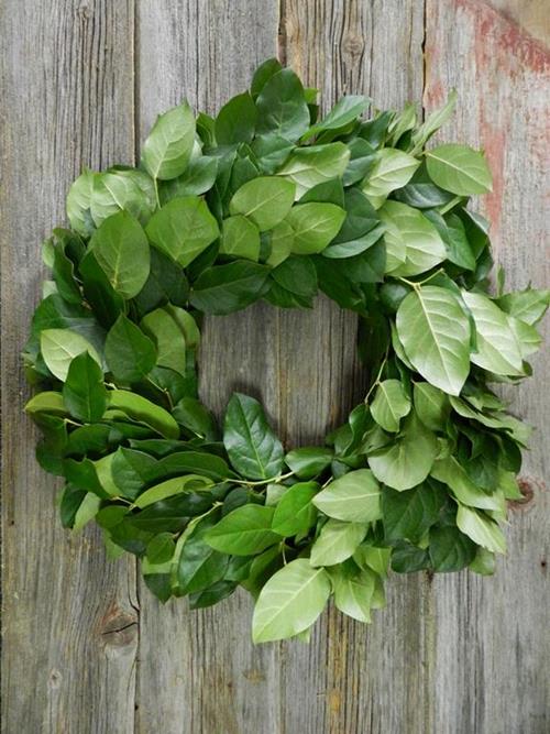 FRESH SALAL 20 IN GREEN WREATH